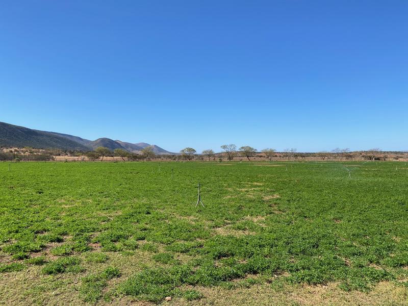 0 Bedroom Property for Sale in Kirkwood Eastern Cape